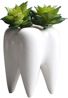 Tanden Vorm Bloempot Innovatie Witte Keramische Succulent Bloempot Modern Woondecoratie Omvat Niet Planten