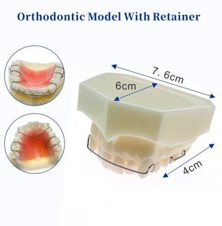 Tandheelkundige Functionele Orthopedische Wiht Retainer Model Tanden Model Dental Teach Studie Hawley Retainer