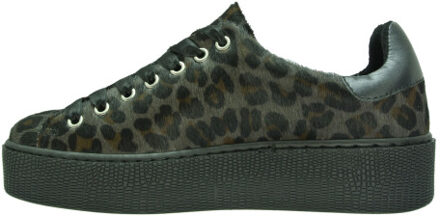 Tango Veterschoenen - maat 37 Grijs