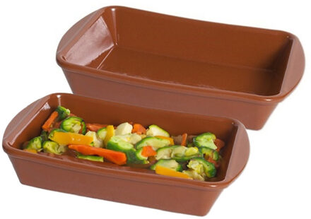 Tapas ovenschaal/serveerschaal - 2x - rechthoek - Spaans terracotta/aardewerk - 26 x 19 x 5.5 cm