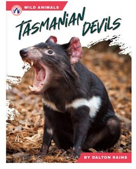 Tasmanian Devils - Wild Animals Set 2 - Dalton Rains