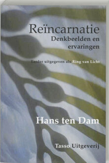 Tasso Uitgeverij Reincarnatie - Boek H.W. ten Dam (9075568134)