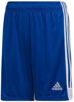 Tastigo 19 Short JR - Blauw - Kinderen - maat  128