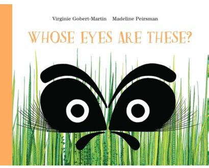 Tate Publishing Whose Eyes are These? - Boek Virginie Gobert-Martin (1849765065)