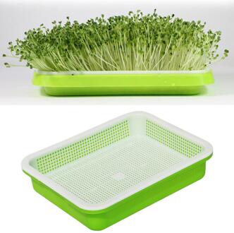 Tauge Double-Layer Gerechten Plaat Zaailingenplateau Plastic Hydrocultuur Bloem Mand Bloem Plant Huis Tuin Kwekerij Potten groen