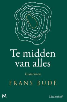 Te midden van alles - Frans Budé - ebook