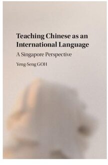 Teaching Chinese as an International Language
