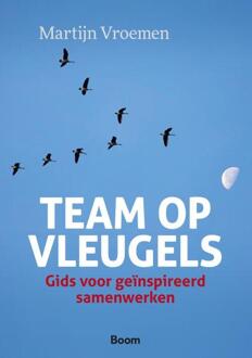 Team op vleugels - Boek Martijn Vroemen (9013066003)