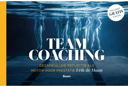 Teamcoaching - Boek Erik de Haan (9024406544)