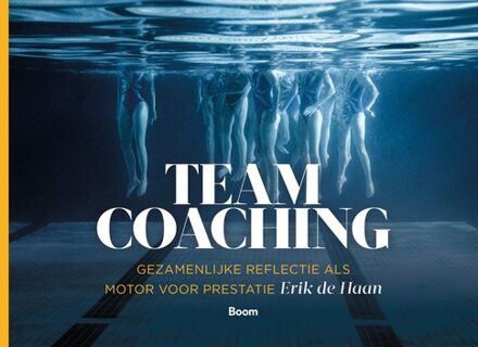 Teamcoaching - Erik de Haan - ebook