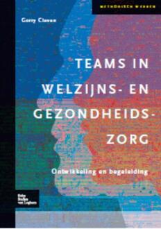 Teams in welzijns- en gezondheidszorg - Boek G.E.H. Cleven (9031352543)