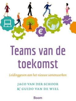 Teams van de toekomst - Boek Jaco van der Schoor (902440455X)