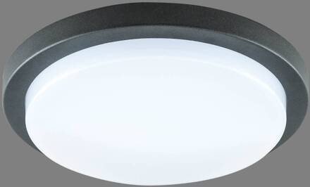 Tectum LED buiten plafondlamp rond, Ø 24,6 cm antraciet, opaalwit