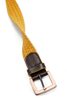 Ted Baker Accessories Ted Baker Galan Leather Woven Belt in Mustard Mosterdgeel