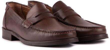 Ted Baker Alffie Schoenen Bruin