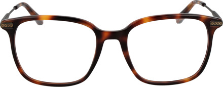 Ted Baker Brilmontuur TB8295 407 54 Bruin