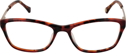 Ted Baker Brilrand TB9106 223 51 Bruin