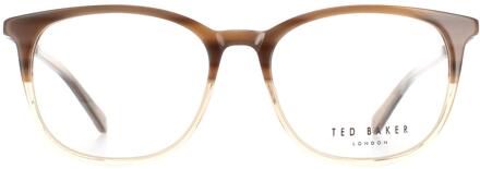 Ted Baker Round Mens Brown Horn TB8219 Archer Glazen frames Bruin