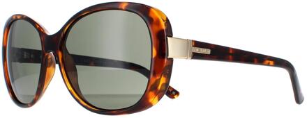 Ted Baker TB1343 Nola 169 havana lichtgroene zonnebril Bruin