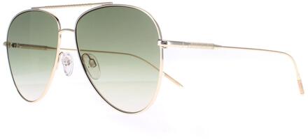 Ted Baker TB1625 Sutton 400 goud groen gradiënt zonnebril