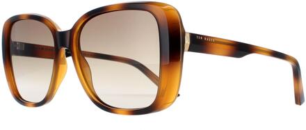 Ted Baker TB1640 Margo 136 havana bruin gradiënt zonnebril
