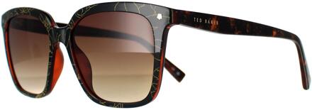 Ted Baker TB1676 Ramona 149 dubbele champagne demi bruin gradiënt zonnebril