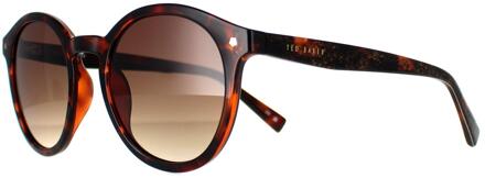 Ted Baker TB1677 Fleur 149 dubbele champagne demi bruin gradiënt zonnebril