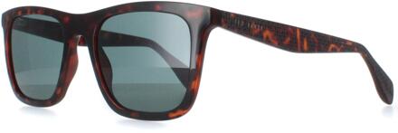 Ted Baker TB1680 Filipe 110 melkachtig donkerbruin blauwe zonnebril - maat