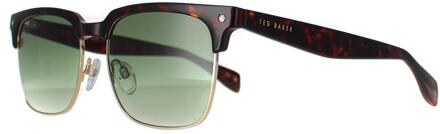 Ted Baker TB1681 Floyd 133 donker demi groen gradiënt zonnebril Bruin - One Size