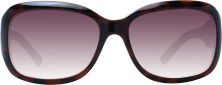 Ted Baker Zonnebril TB1183 149 56 - maat Bruin