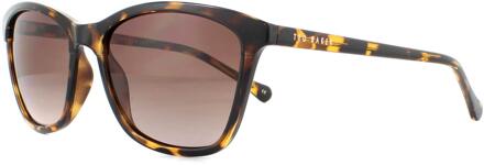 Ted Baker Zonnebril TB1440 Tari 122 Havana Bruin Verloop