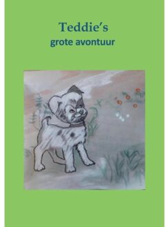 Teddies grote avontuur