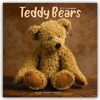 Teddy Bears Calendar 2025 Square Wall Calendar - 16 Month - Browntrout Wandkalender - Avonside Publishing Ltd