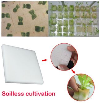 Teelt Planten Spons Wit 100pcs Landbouw Hydrocultuur Grondloze Gekweekte Kunstmatige Fokken Zaailing Spons
