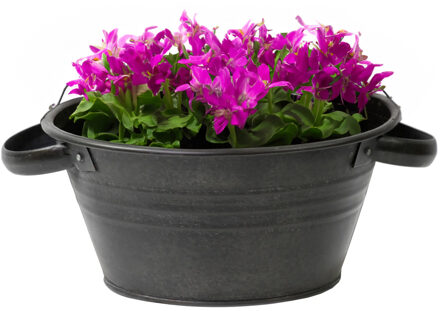 Teil Bloempot/plantenpot - zink - zwart - D40 x H14 cm - IJzeren emmer / teil