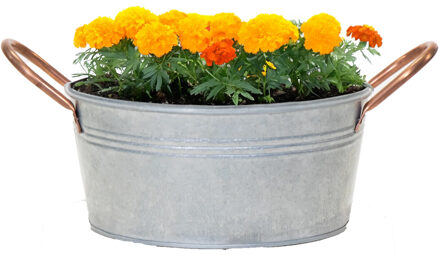 Teil/plantenpot Jean - zink - zilver - D24 X H11 cm - IJzeren emmer / teil Zilverkleurig