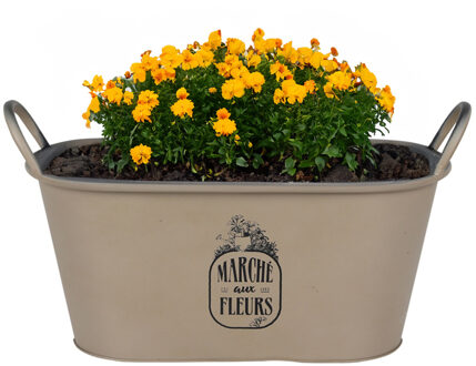 Teil/plantenpot - zink - taupe - L39 x B16 x H21 cm