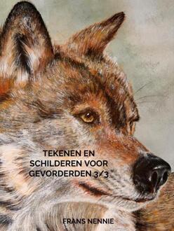 Tekenen en schilderen voor gevorderden 3/3 -  Frans Nennie (ISBN: 9789465126913)