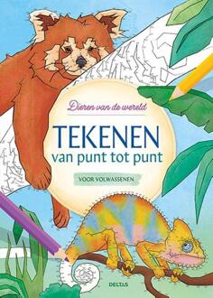 Tekenen Van Punt Tot Punt Voor Volwassenen