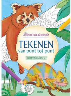 Tekenen Van Punt Tot Punt Voor Volwassenen