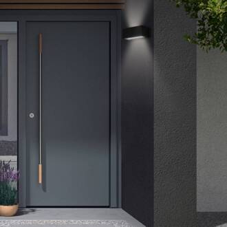 Telefunken LED buiten wandlamp Monaco up/down zwart zwart, helder