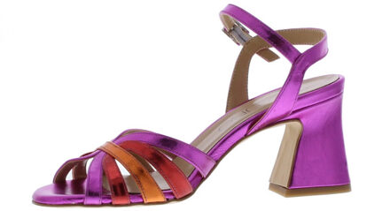 Temma multi bandjes - maat 40 Fuchsia