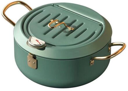Tempura Friteuse Restaurant Deksel Met Thermometer Non Stick Mini Fritter Twist Temperatuurregeling Keuken Kip Friteuse 20CM / groen