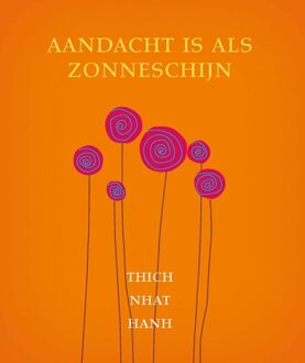 ten Have Aandacht is als zonneschijn - eBook Thich Nhat Hanh (9025902146)