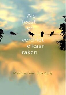 ten Have Als feest en verdriet elkaar raken - eBook Marinus van den Berg (9025971350)