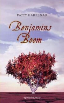 ten Have Benjamins boom - eBook Patty Harpenau (9025960766)