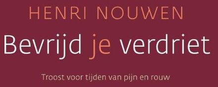 ten Have Bevrijd je verdriet - eBook Henri Nouwen (9025971660)