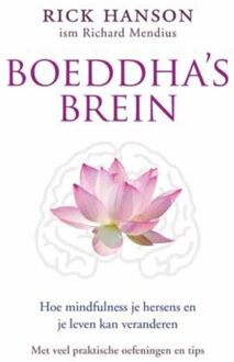 ten Have Boeddha's brein - eBook Rick Hanson (9025971784)