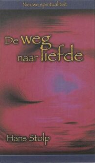 ten Have De weg naar liefde - eBook Hans Stolp (9025970753)