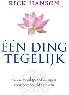 ten Have Een ding tegelijk - eBook Rick Hanson (9025901972)